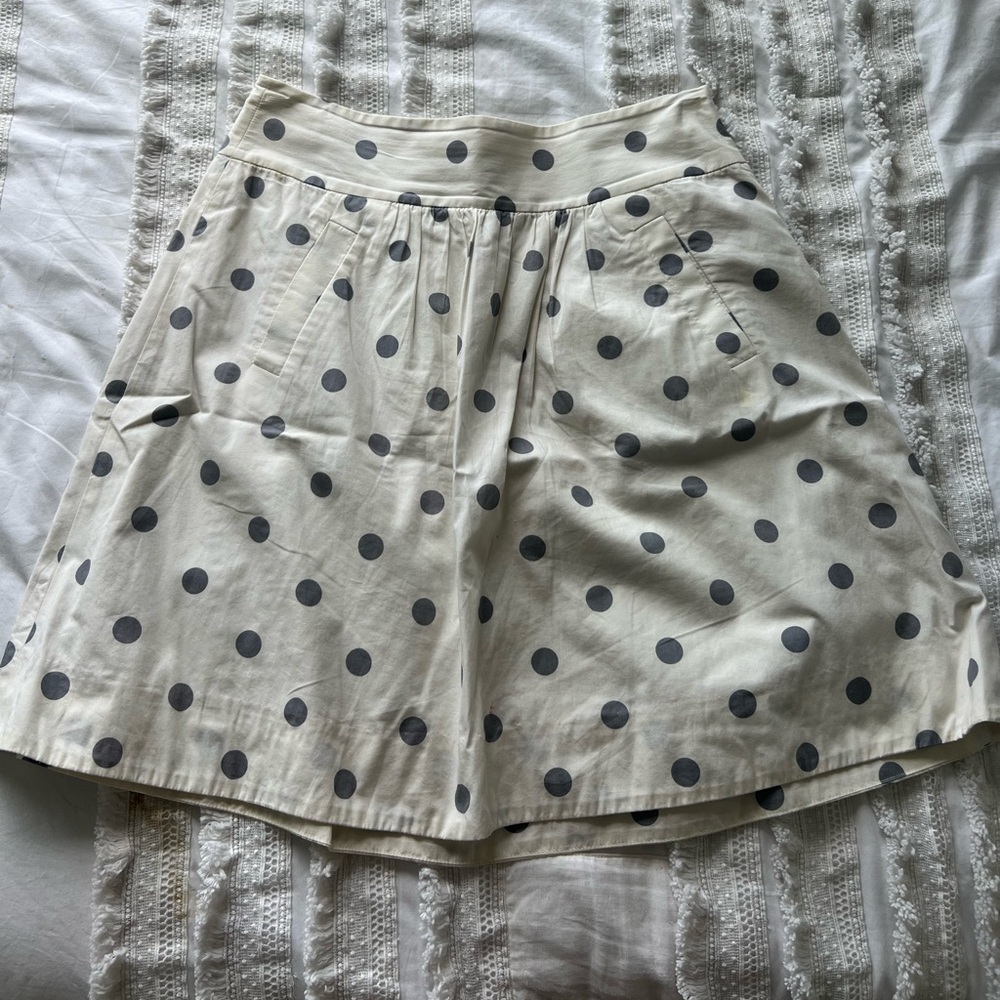 I. Crew Skirt